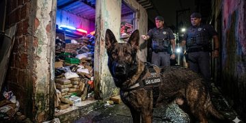 FALHOU O ESCONDERIJO: CÃO DA PM ESTOURA DEPÓSITO DE DROGAS.