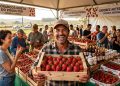 SABOR DO CAMPO: FESTA DO MORANGO VALORIZA O PRODUTOR NACIONAL.