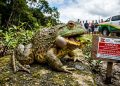 RÃ QUE MUGE COMO BOI DEVORA FAUNA E ASSUSTA FLORIANÓPOLIS.