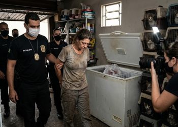 CRUELDADE DESCOBERTA: POLÍCIA ESTOURA FALSA ONG EM SP