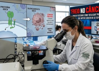 FREIO NO CÂNCER: Unifesp descobre molécula que bloqueia metástase