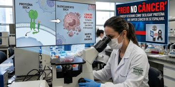 FREIO NO CÂNCER: Unifesp descobre molécula que bloqueia metástase
