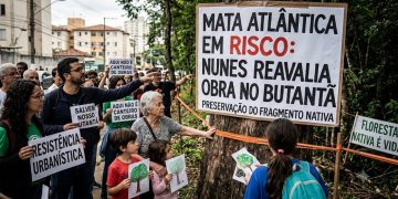 MATA ATLÂNTICA EM RISCO: NUNES REAVALIA OBRA NO BUTANTÃ