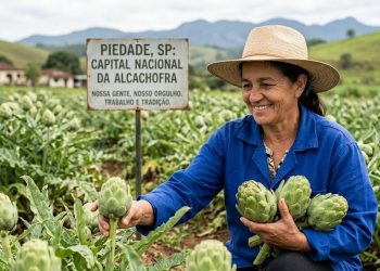 TESOURO DO TRABALHADOR: PIEDADE É A CAPITAL NACIONAL DA ALCACHOFRA