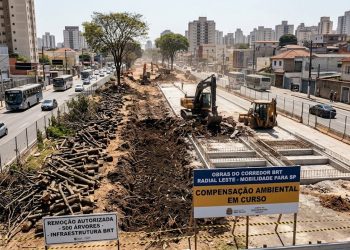 CONCRETO E SOBRA DE CALOR: OBRA DO BRT MOTIVA CORTE DE 500 ÁRVORES NA ZONA LESTE
